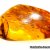 Amber with inclusions