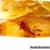 Amber with inclusions