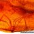 Amber with inclusions